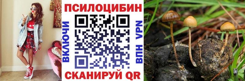 купить  цена  Бикин  Галлюциногенные грибы Psilocybe 
